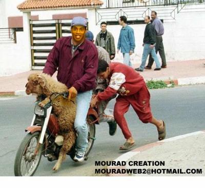 ronaldinho